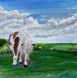 Pony & Gate