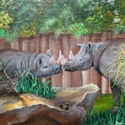 Rhinos